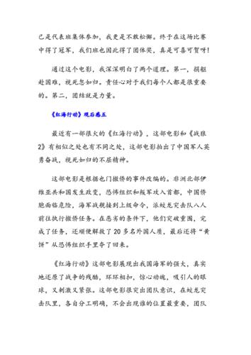 红海行动观后感