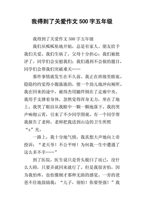 他___了500字优秀作文