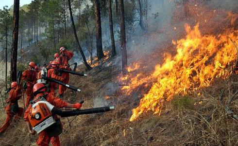 森林火灾的报警电话是